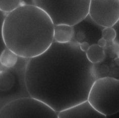Functional membrane-based integrated biosensing devices for detection and quantitation of specific nucleic acids and other biomolecules