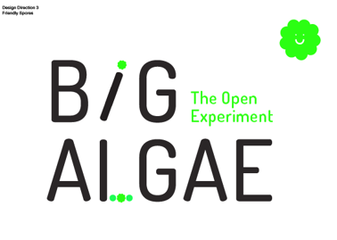 Figure 7: Designs created by Laura Gordon, for logos and visual identity.
