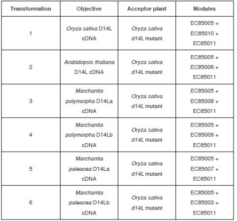 Table 2. Summary of transformations and golden gate modules used in each case.