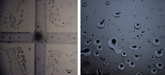 Figure 10: Prototype microfluidic chip. (Right) Liquid contained within channels when plastic cover placed between top and bottom acrylic components. (Left) Water in oil droplets produced from chip.