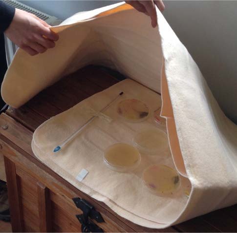 Fig. 3: low cost setups for growing bacterial plates. Bed-heating device (USD 20).