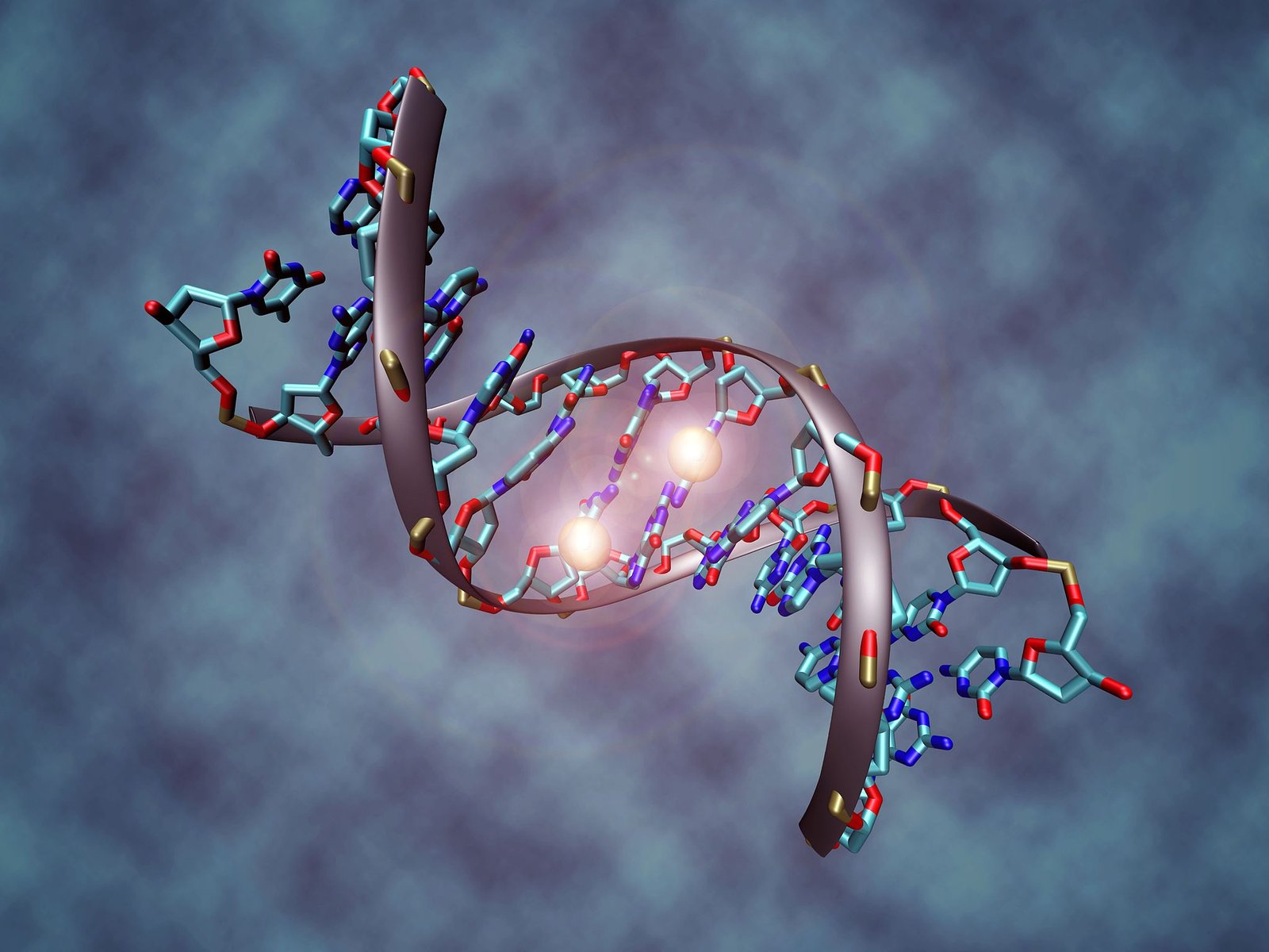 CGSENS: Visualization of CG methylation using a fluorescence protein biosensor