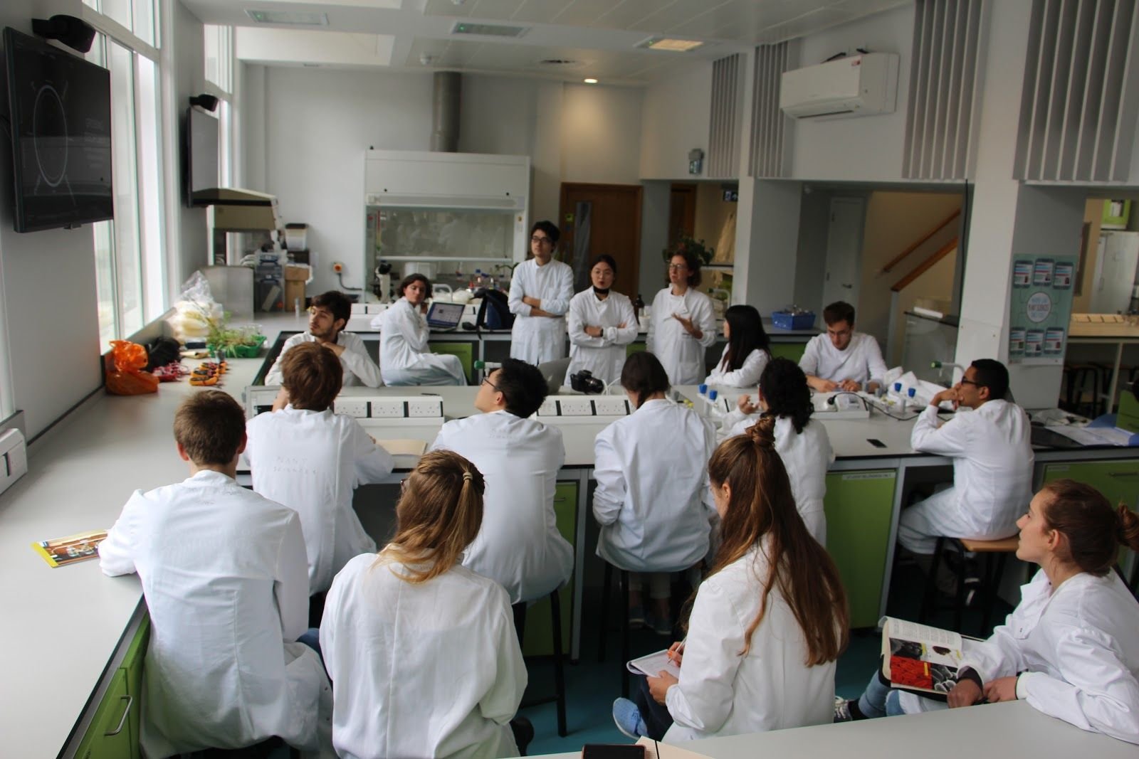 Co-Lab 13.jpg