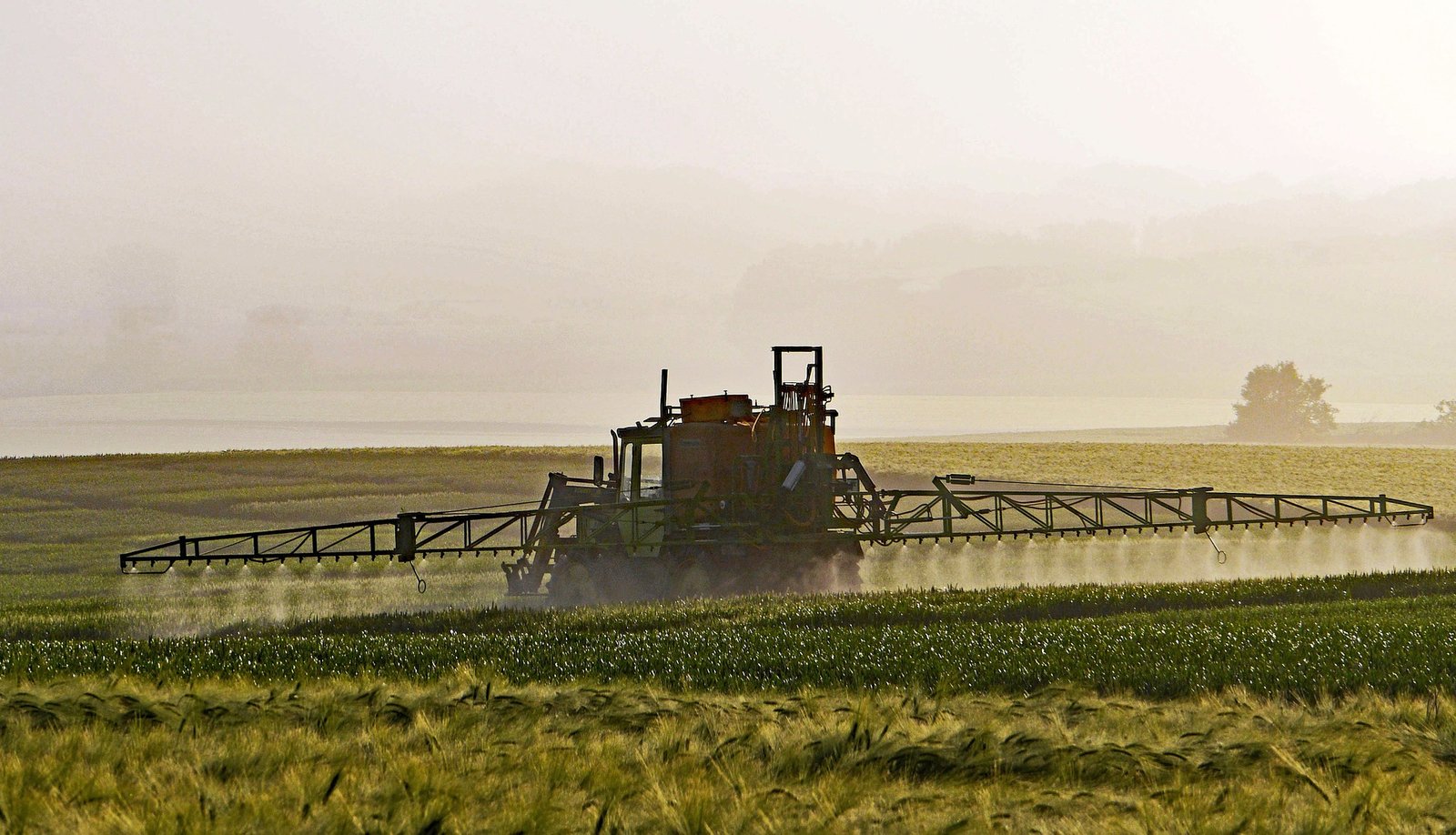 Translating Nitrogen Use Efficiency from models to crops
