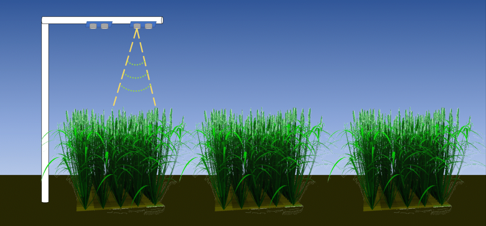 Ultrasonic Plant Height System for High-Throughput Plant Phenotyping