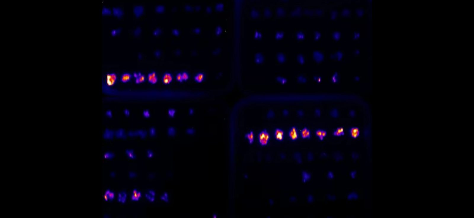 A Place in the Sun: LED arrays that mimic natural spectral transitions