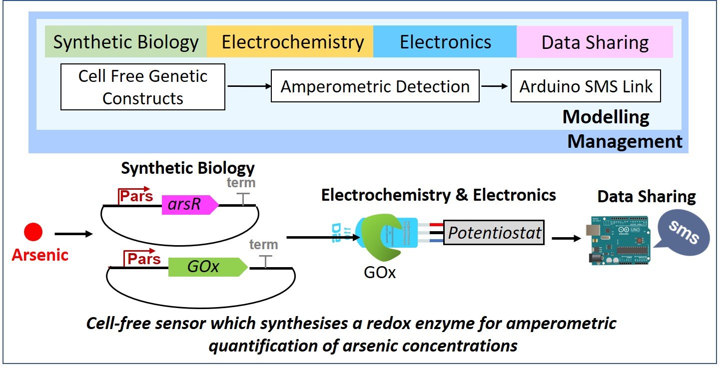 Figure 1. A summary of the sensor and it’s development