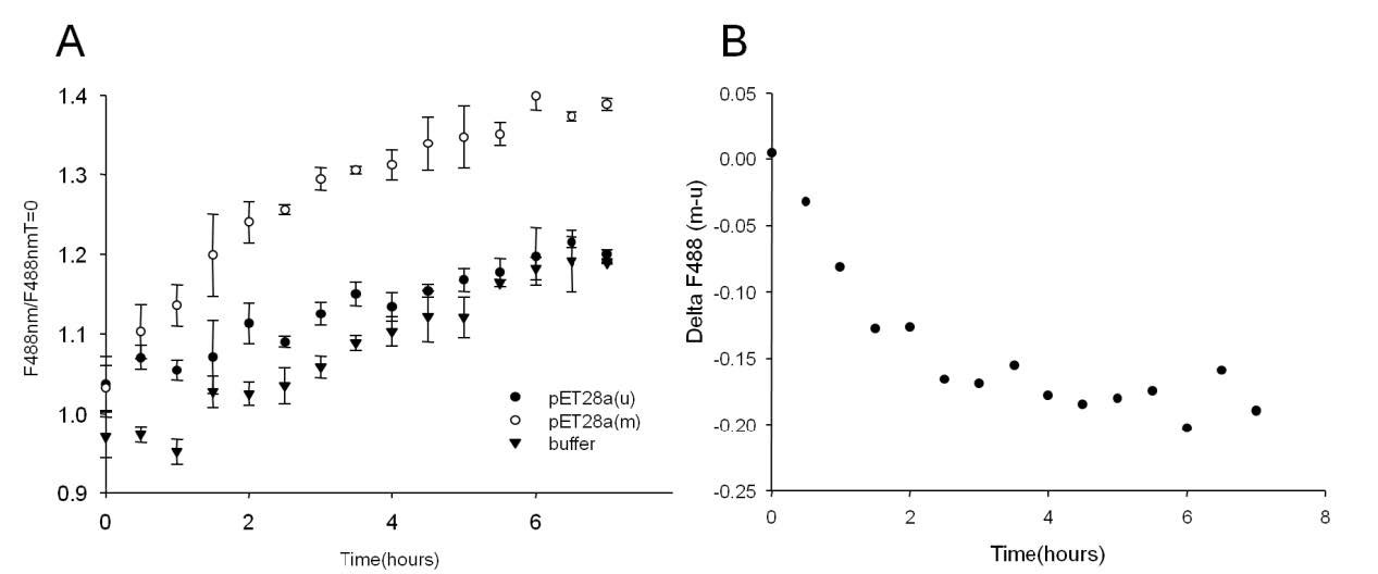 Figure 4. DNA target preparation: In vitro methylation of plasmid DNA.4.A- 1 μg of unmethylated (u) or methylated (m)pET28a plasmid were incubated with equivalent amounts of crude extracts of bacteria overexpressing CGSENS-C and CGSENS–N in a final …