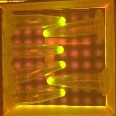 Cell-free proteins synthesis as a resource for generating plant proteins