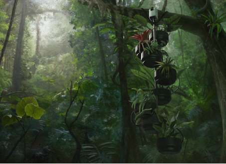 Development of open source camera trap powered by plant microbial fuel cell