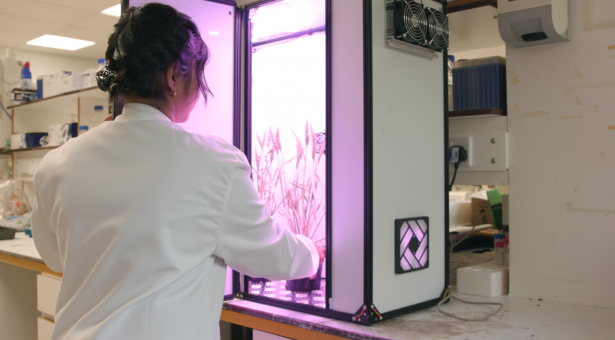 A Biomaker team has made it to the final of the BBSRC Innovator of the Year 2019 Awards