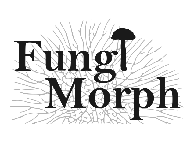 FungiMorph A multipurpose fungal morphology phenotyper