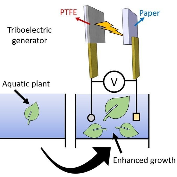 Can triboelectricity enhance plant growth?