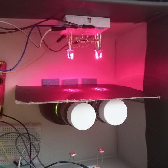 Spectrophotometer for chlorophyll analysis