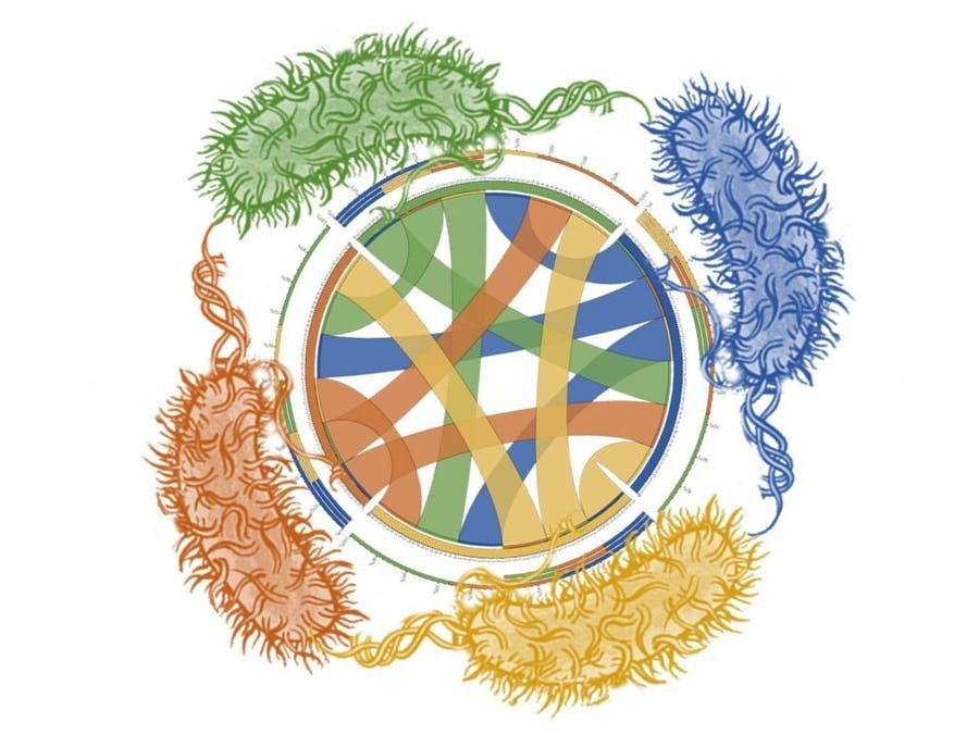 An open toolkit for engineering microbial interactions