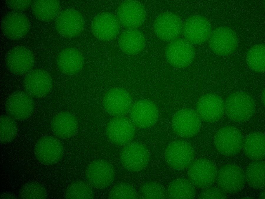 CtoD: From Cells to Droplets